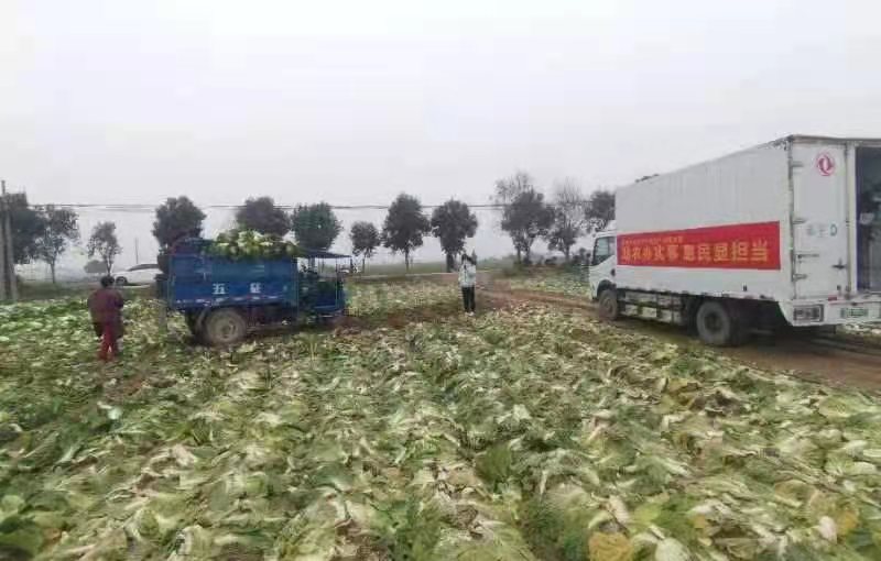 微信图片_20221130113245.jpg